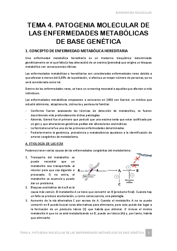 Miniatura del documento TEMA-4.pdf