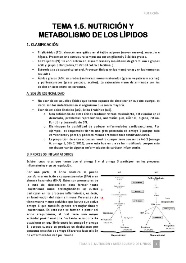Miniatura del documento TEMA-1.pdf