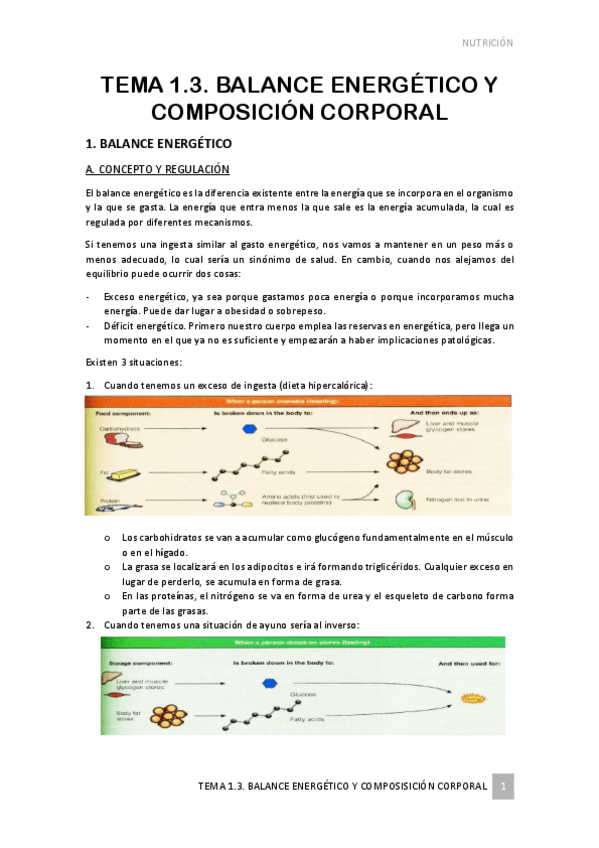Miniatura del documento TEMA-1.pdf