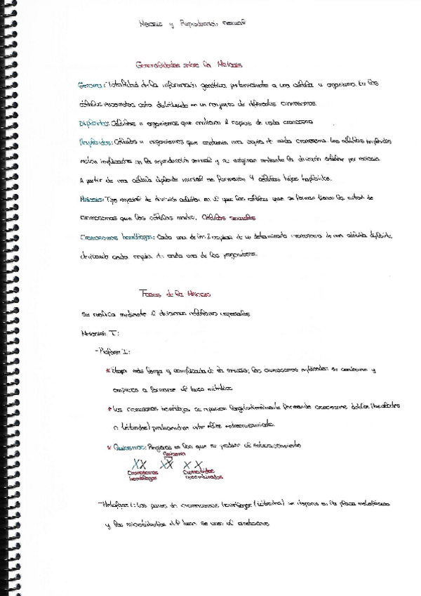 Miniatura del documento Meisis-y-Reproduccion-Sexual.pdf