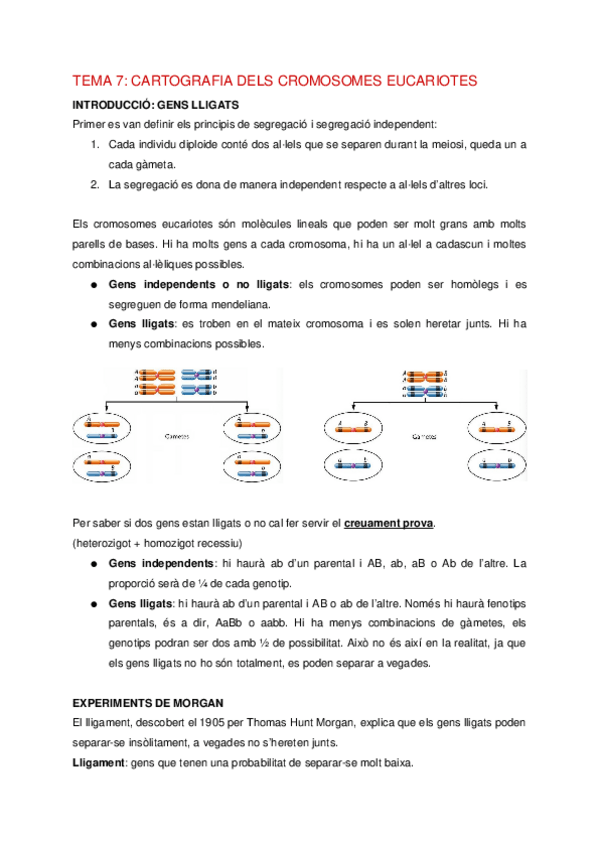 Miniatura del documento G-Tema-7-Cartografia-de-los-cromosomas-eucariotas.docx