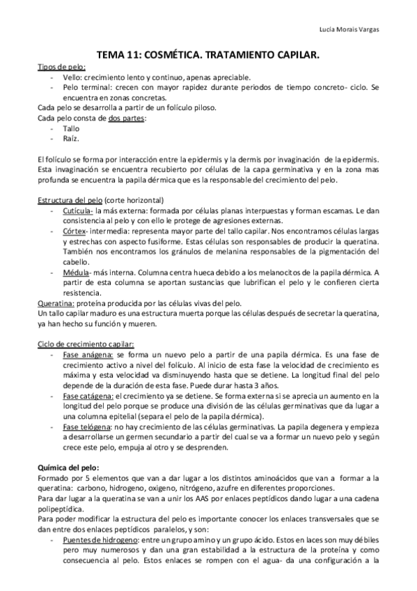 Miniatura del documento TEMA 11.pdf