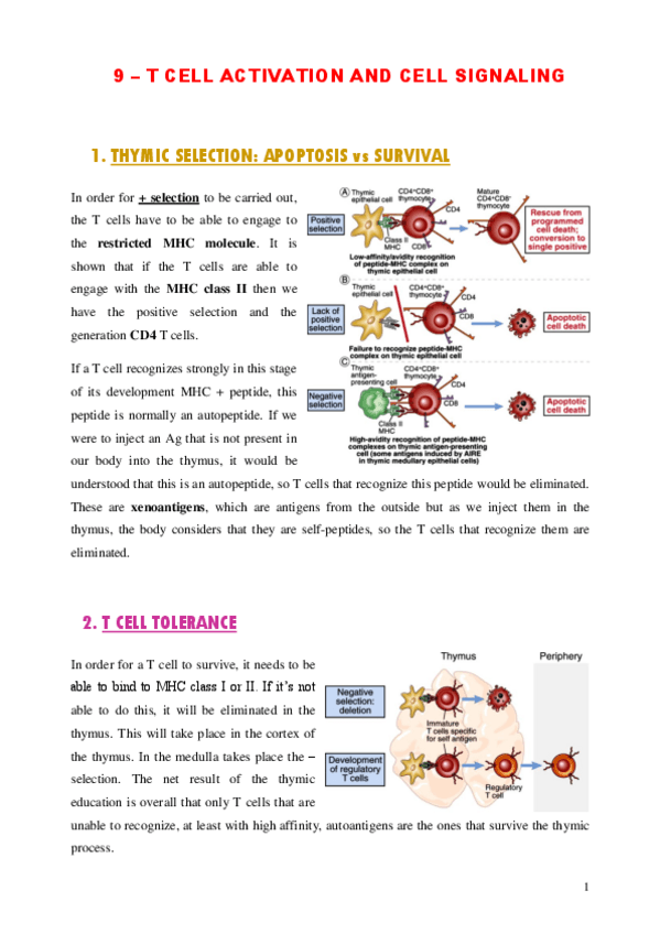 Miniatura del documento Unit-7.pdf