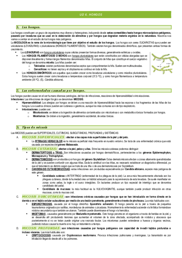 Miniatura del documento UD-6-HONGOS.docx