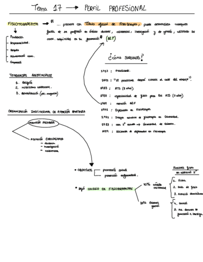 Miniatura del documento V-Accion-Profesional-en-Fisioterapia.pdf