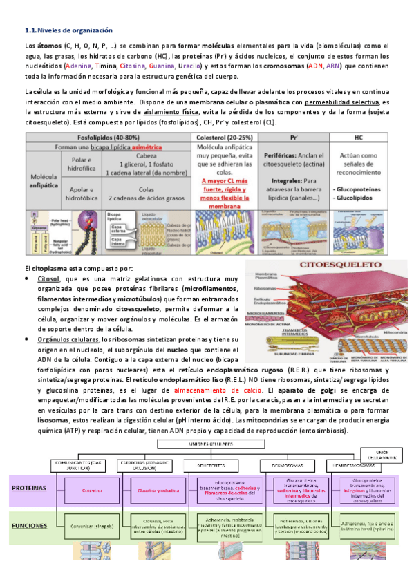 Miniatura del documento ResumenBloque1.pdf