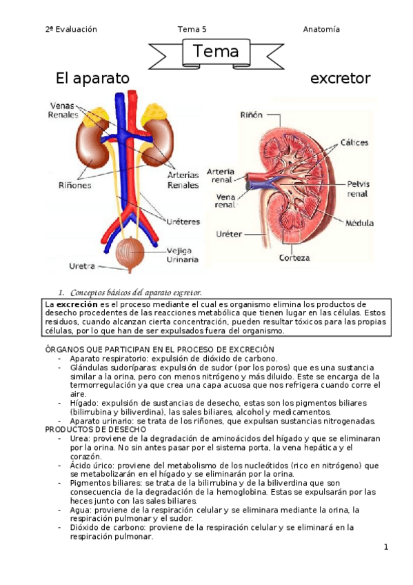 Miniatura del documento Tema-5.docx
