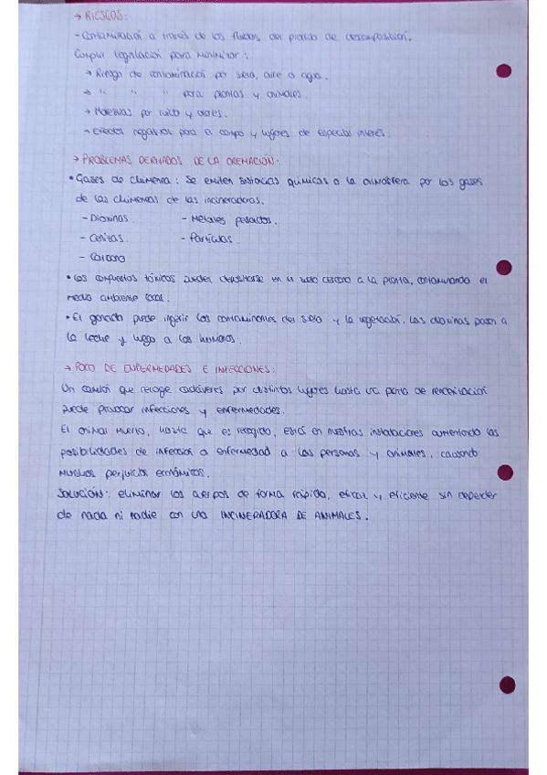 Miniatura del documento eliminacion-de-cadaveres.pdf