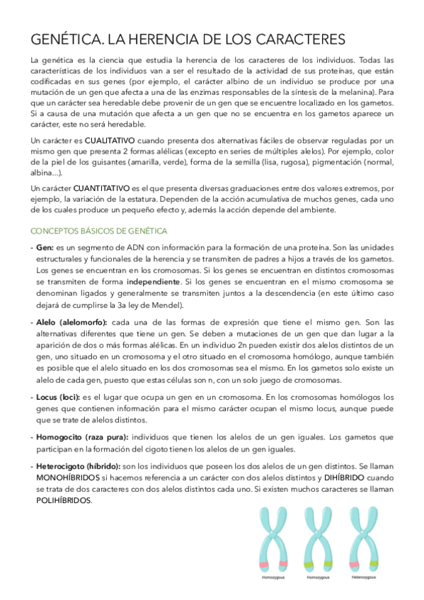 Miniatura del documento Genetica-.pdf
