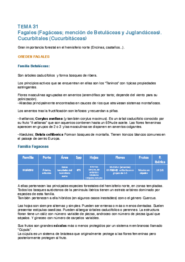 Miniatura del documento TEMA 31.pdf