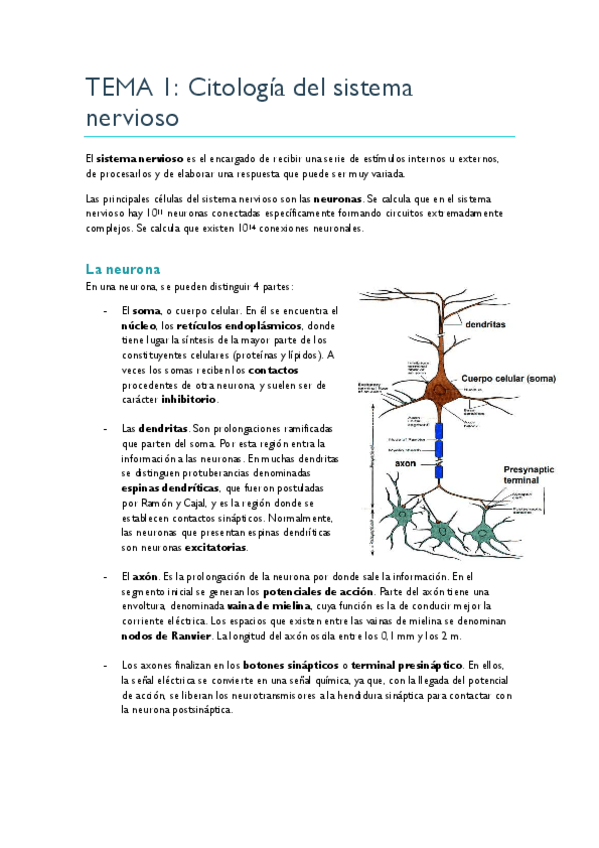 Miniatura del documento TEMA-1.pdf