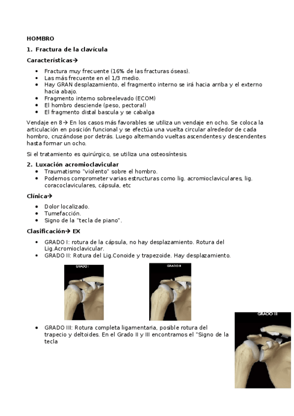 Miniatura del documento Hombro.docx