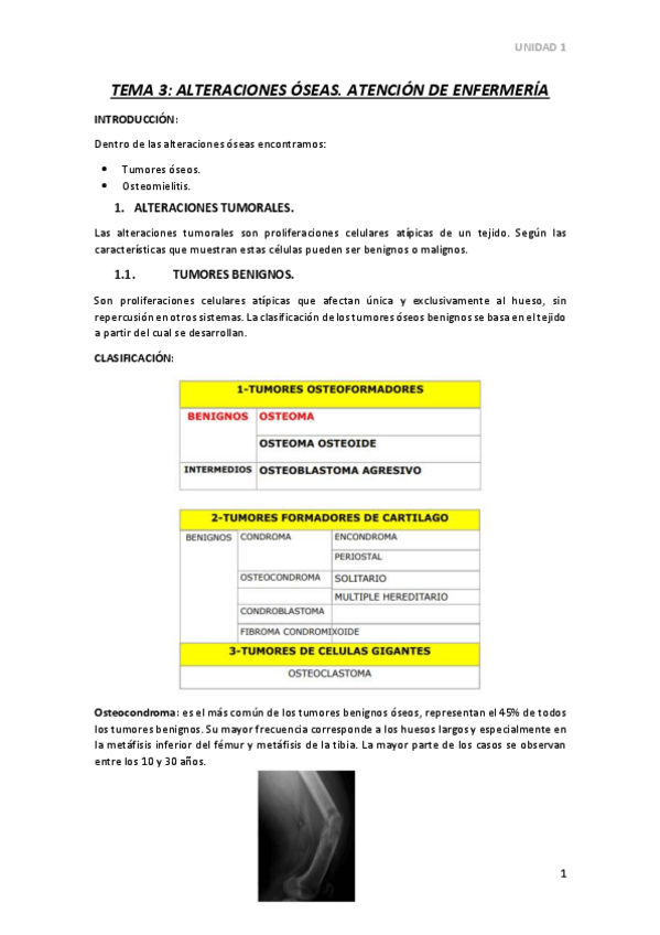 Miniatura del documento TEMA-3.pdf