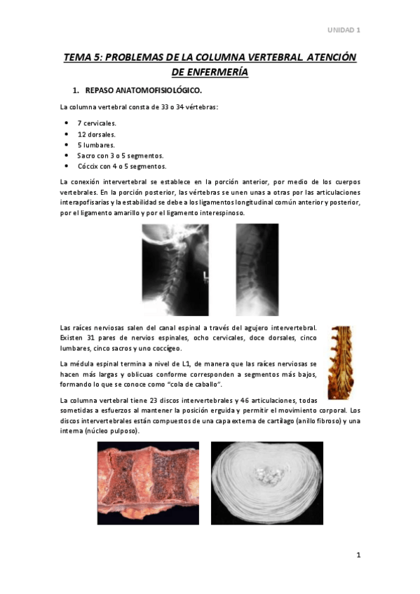 Miniatura del documento TEMA-5.pdf