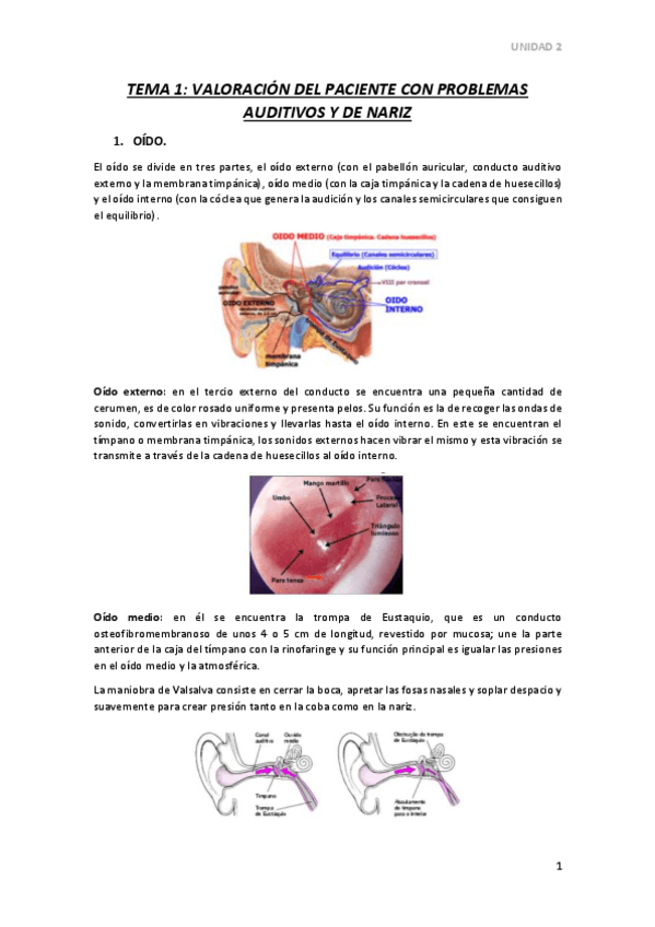 Miniatura del documento TEMA-1.pdf