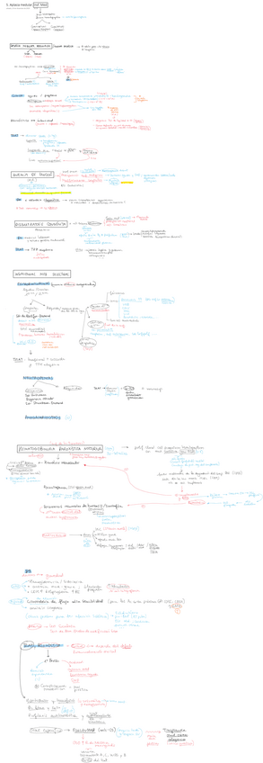 Miniatura del documento 5.pdf