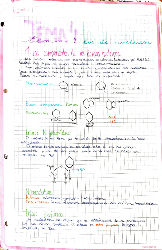 Miniatura del documento tema-4.pdf