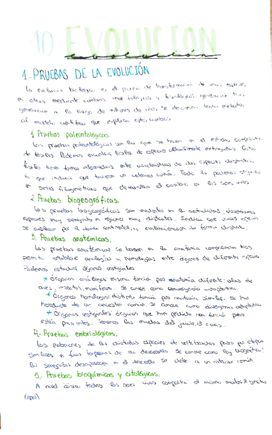 Miniatura del documento tema-10-evolucion-incompleto.pdf