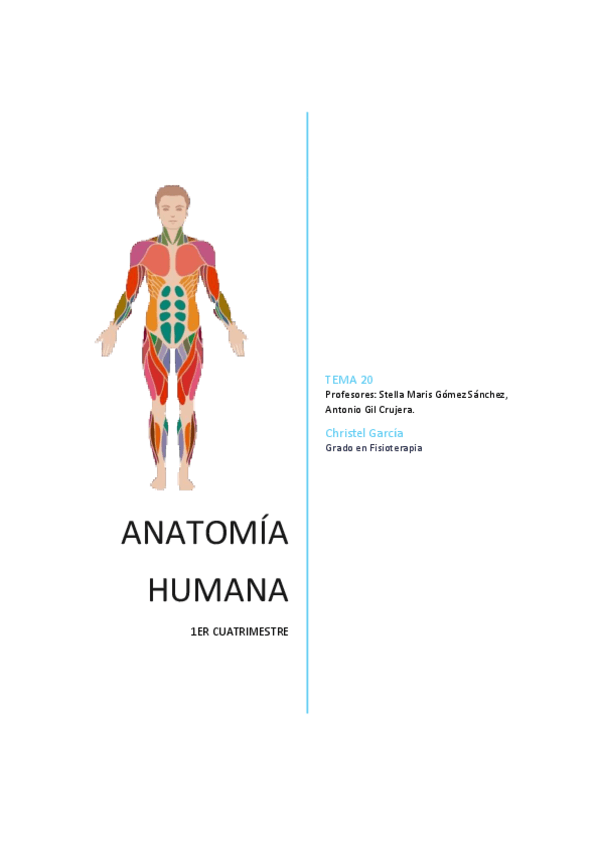 Miniatura del documento TEMA-20-ANATO.pdf