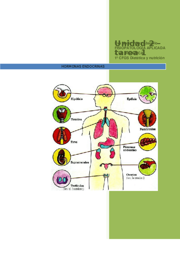Miniatura del documento TAREA-1-TEMA-2.docx