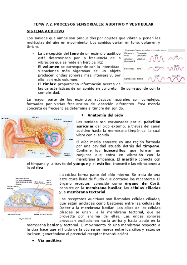 Miniatura del documento TEMA-7.docx