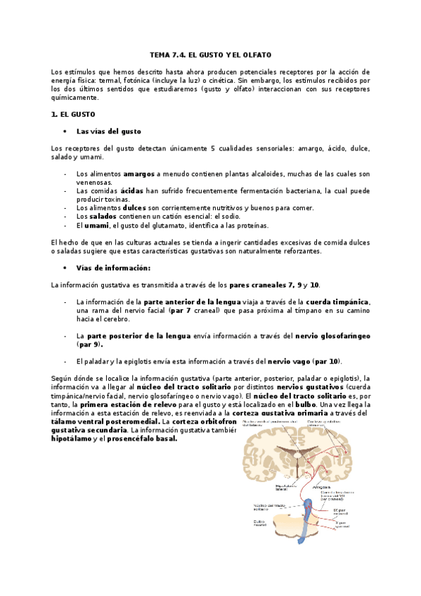 Miniatura del documento TEMA-7.docx