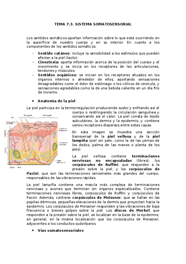 Miniatura del documento TEMA-7.docx