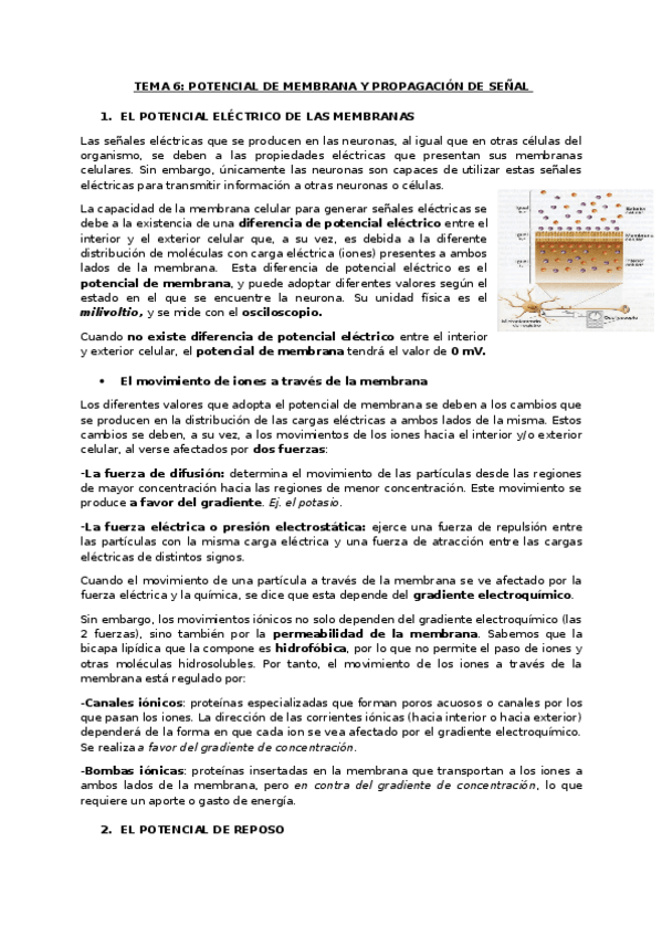 Miniatura del documento TEMA-6-POTENCIAL-DE-MEMBRANA-Y-PROPAGACION-DE-SENAL.docx