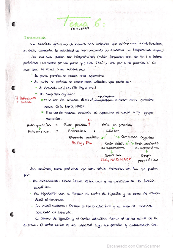 Miniatura del documento Tema-6-Enzimas.pdf