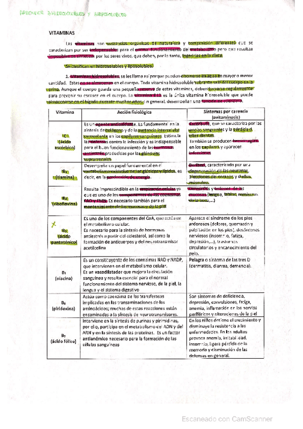 Miniatura del documento Vitaminas.pdf