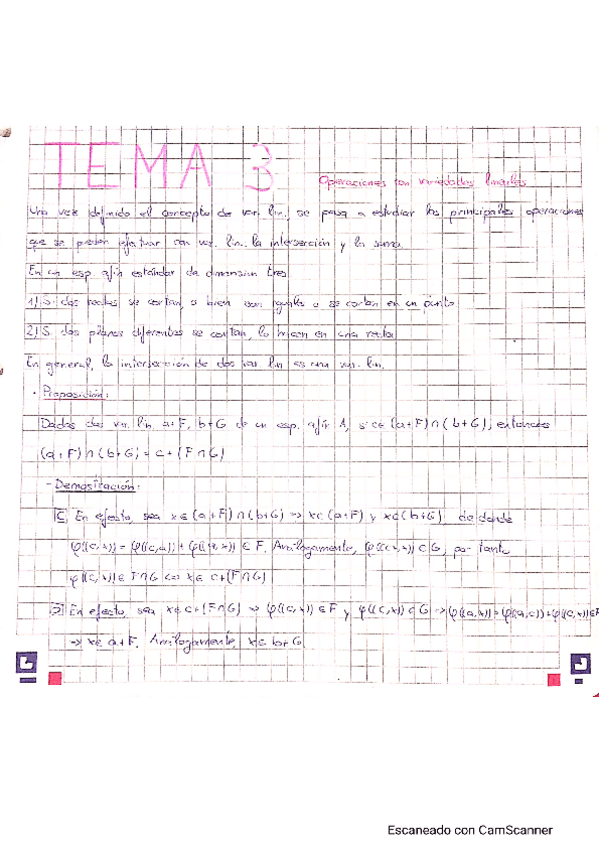 Miniatura del documento Tema-3-Operaciones-con-variedades-lineales.pdf
