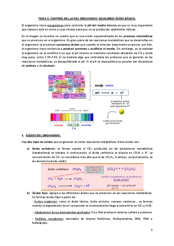 Miniatura del documento TEMA-2.pdf