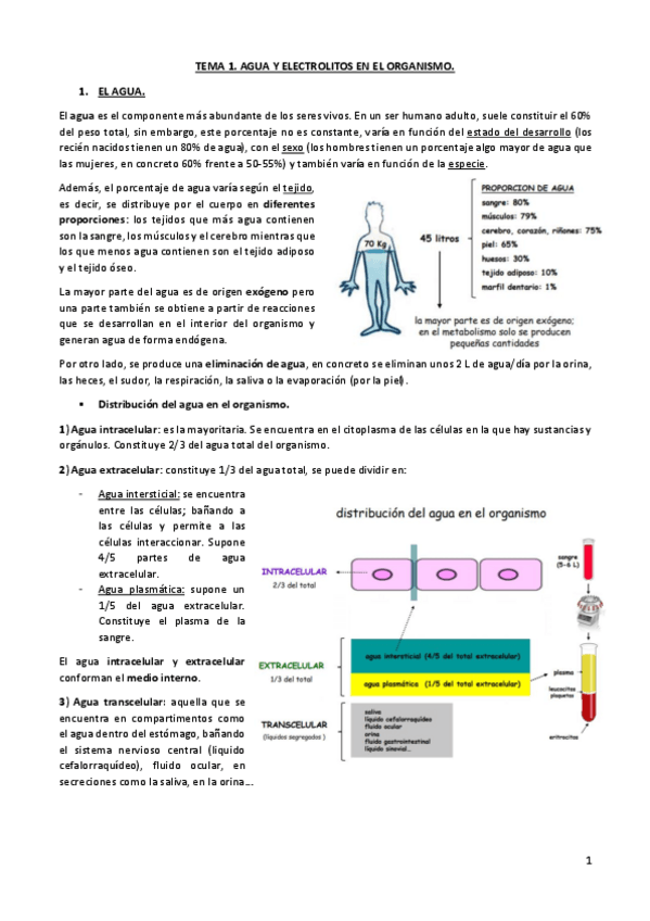 Miniatura del documento Tema-1.pdf