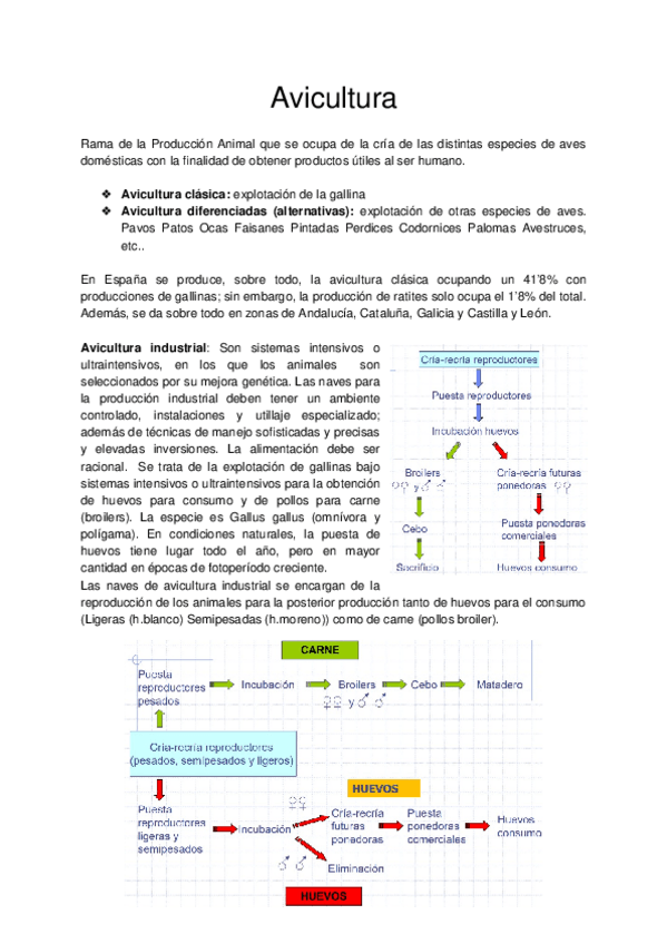 Miniatura del documento Avicultura.docx