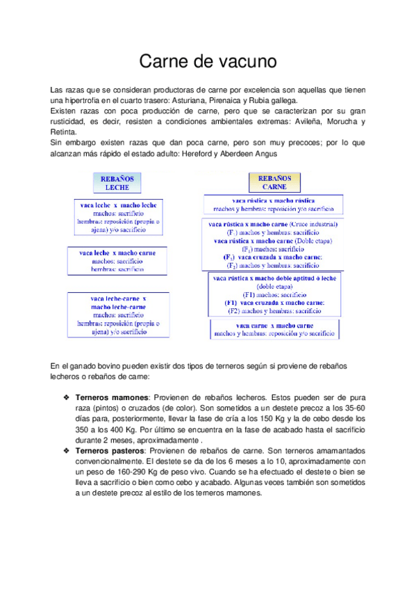 Miniatura del documento Produccion-de-carnes.docx