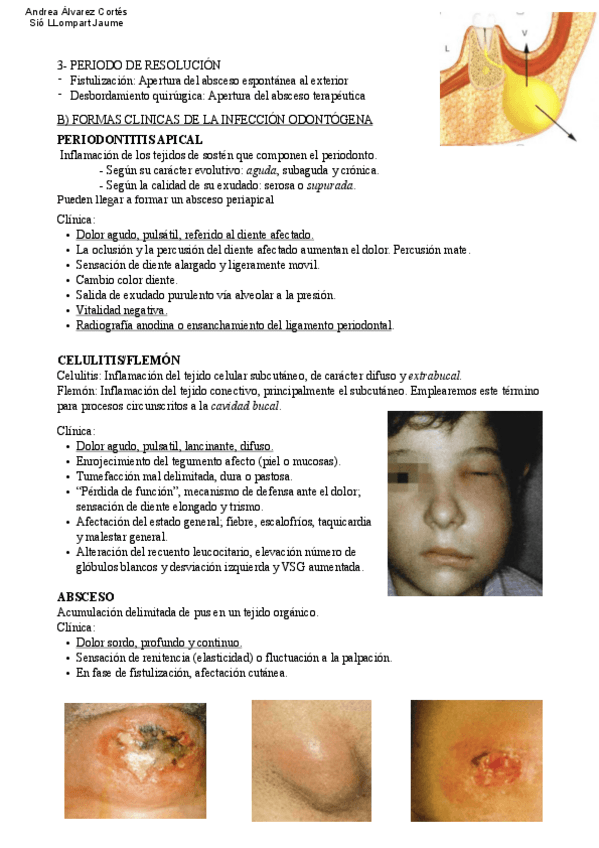 Miniatura del documento Tema-14.pdf