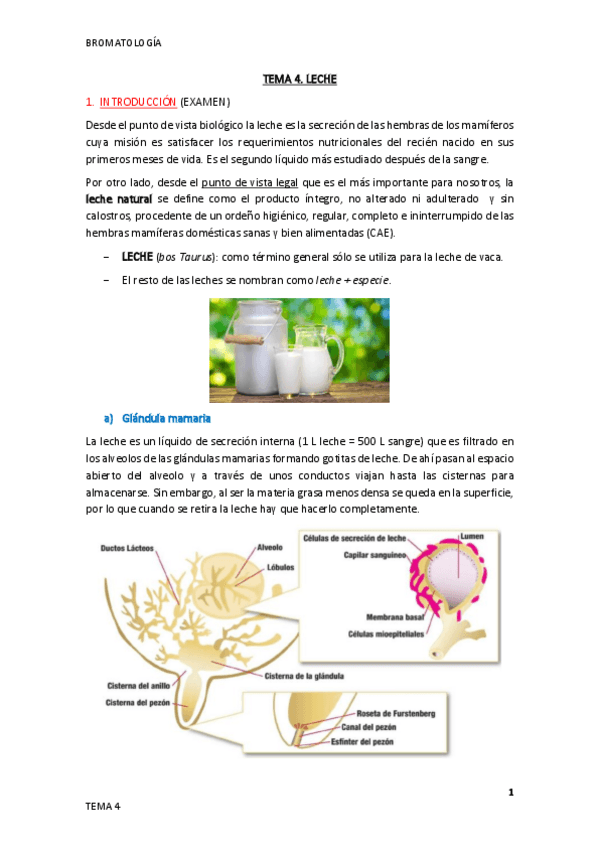 Miniatura del documento Tema-4.pdf