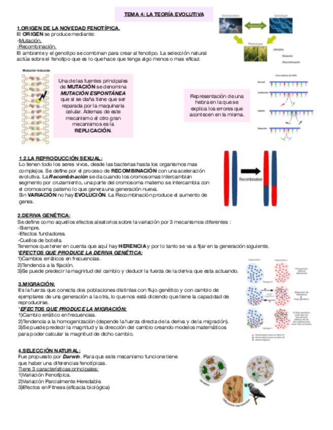 Miniatura del documento TEMA-4-INTRODUCCION-A-LA-TEORIA-EVOLUTIVA.pdf
