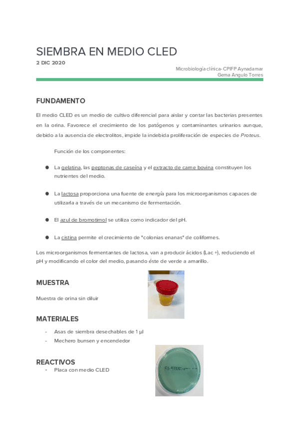 Miniatura del documento 11.Siembra-en-medio-CLED.docx