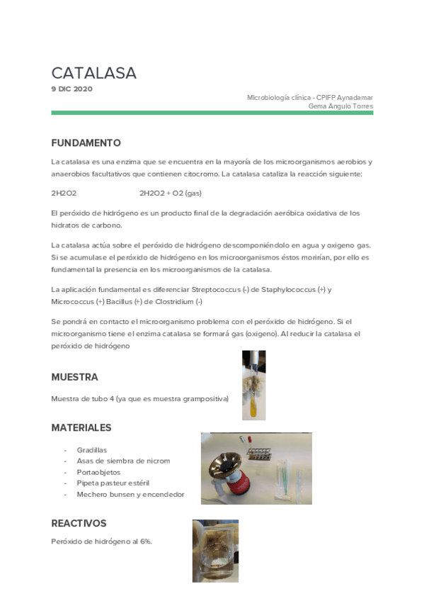 Miniatura del documento 14.-catalasa.docx