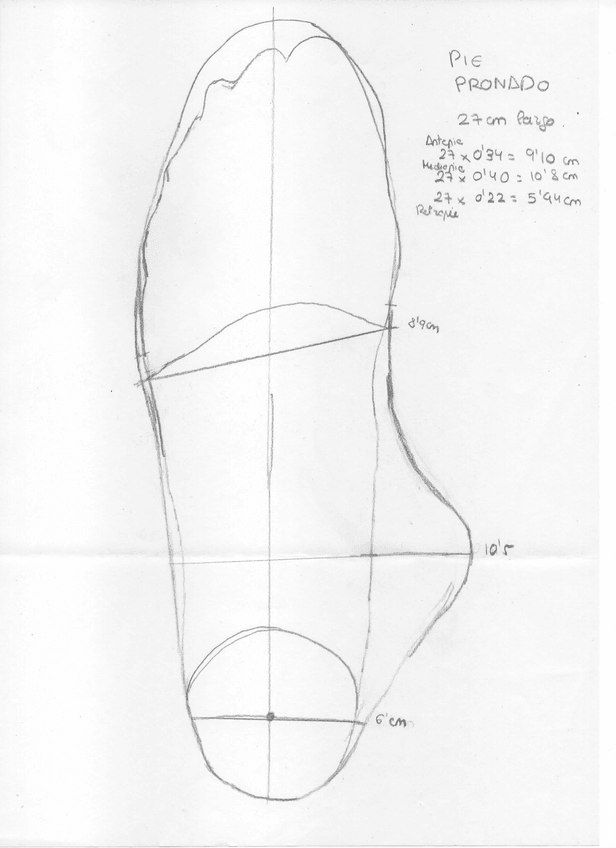 Miniatura del documento PIE-PRONADO.jpg
