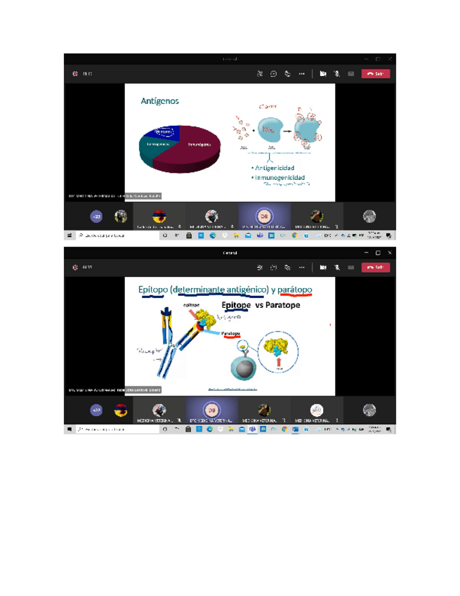Miniatura del documento ANTIGENOS.docx
