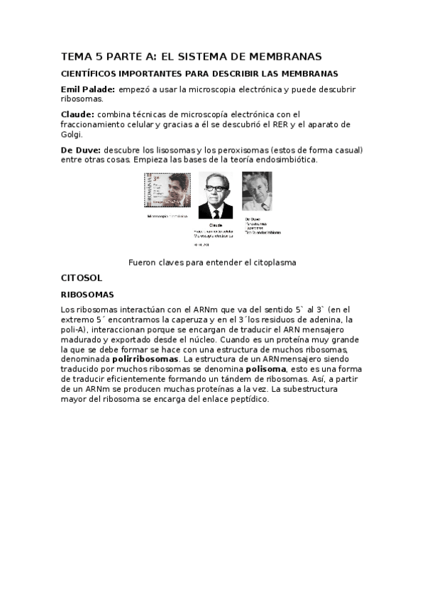 Miniatura del documento BIOCEL-T5A.docx