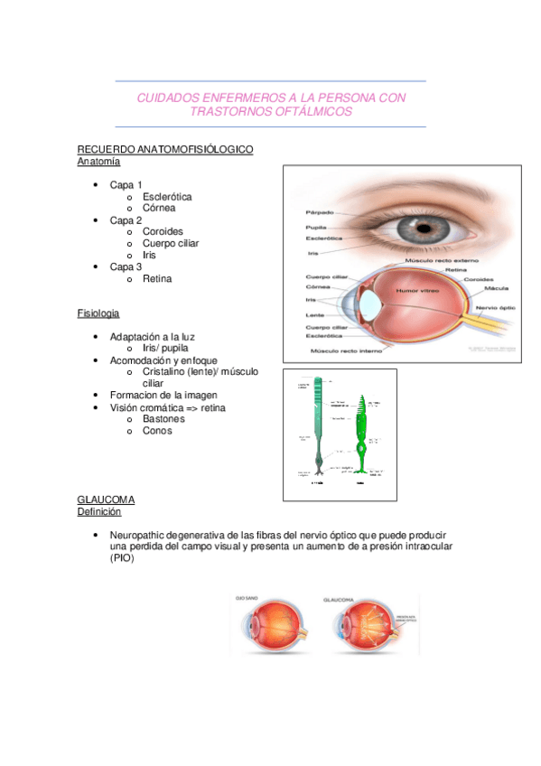 Miniatura del documento T1-trastornos-oftalmicos.pdf