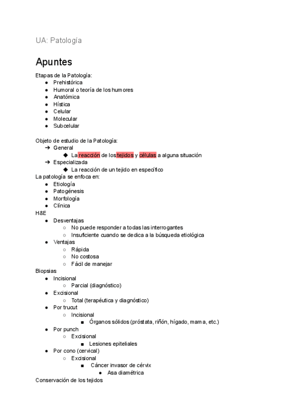 Miniatura del documento Notas-Patologia-P.pdf