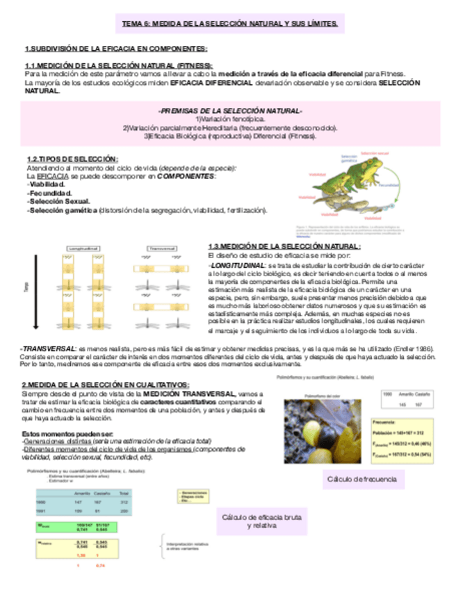 Miniatura del documento TEMA-6-MEDIDA-DE-LA-SELECCION-NATURAL-Y-SUS-LIMITES-.pdf