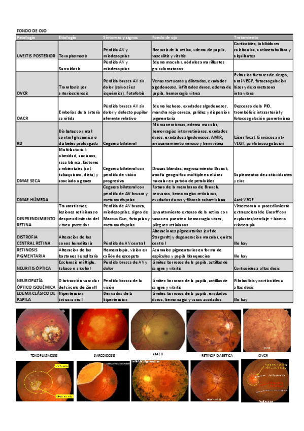 Miniatura del documento FONDO-DE-OJO.pdf