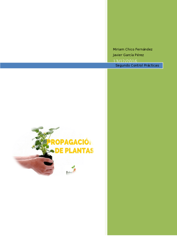 Miniatura del documento Segundo-Control-Practicas.docx