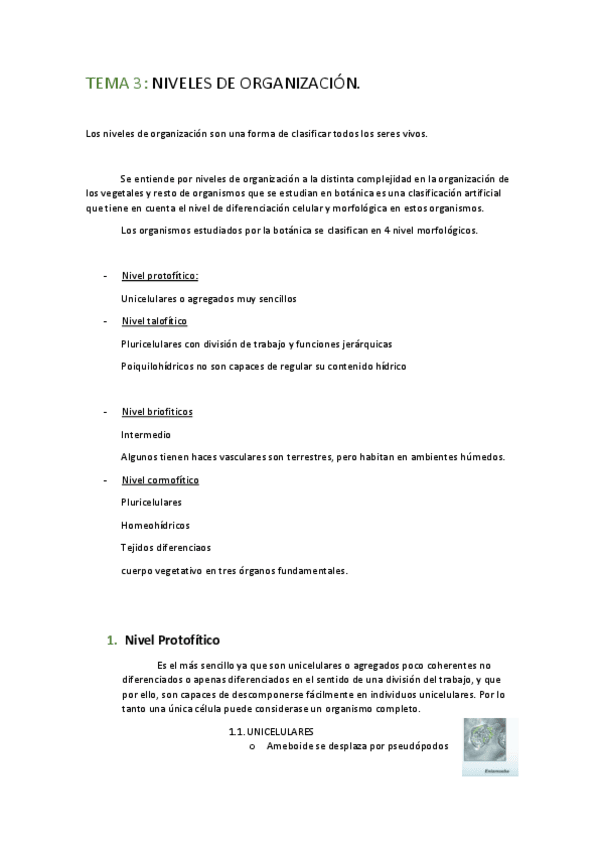 Miniatura del documento TEMA-3.pdf