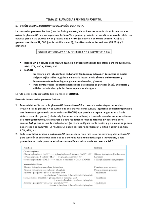 Miniatura del documento Tema-17.pdf